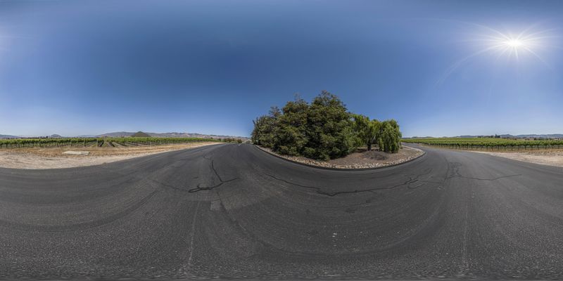 An Empty Road Near a Vineyard in California, USA HDRi Maps and Backplates