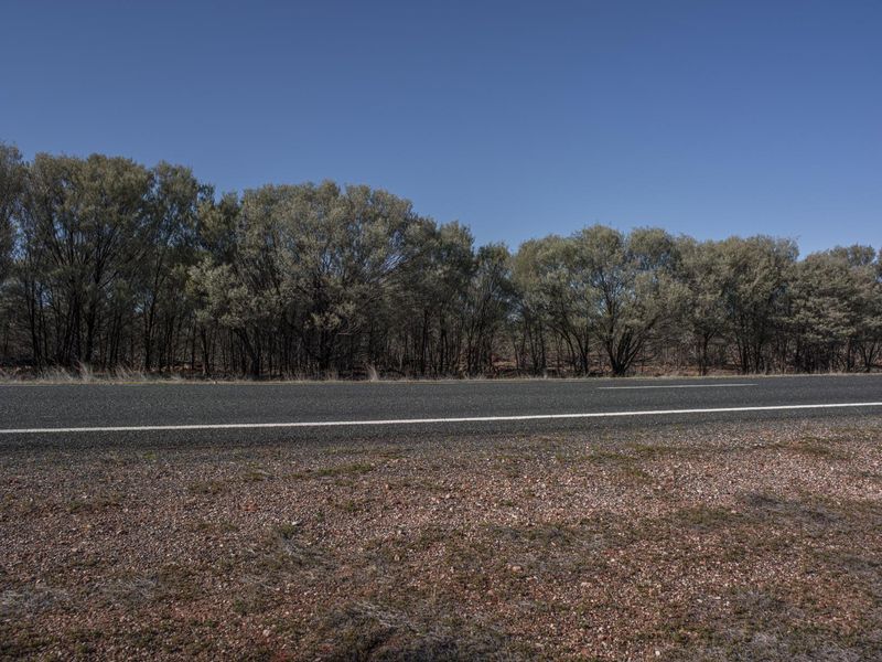 Empty Rural Road Through Grass and Trees HDRi Maps and Backplates