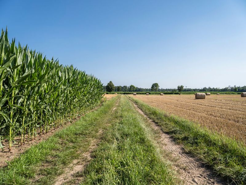 European Landscape: Clear Sky Over Rural Agriculture HDRi Maps and ...