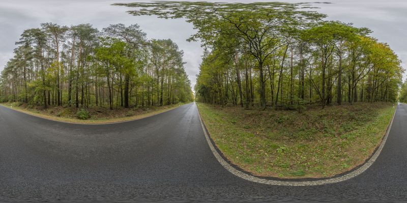 A European Forest Road in Berlin, Germany HDRi Maps and Backplates