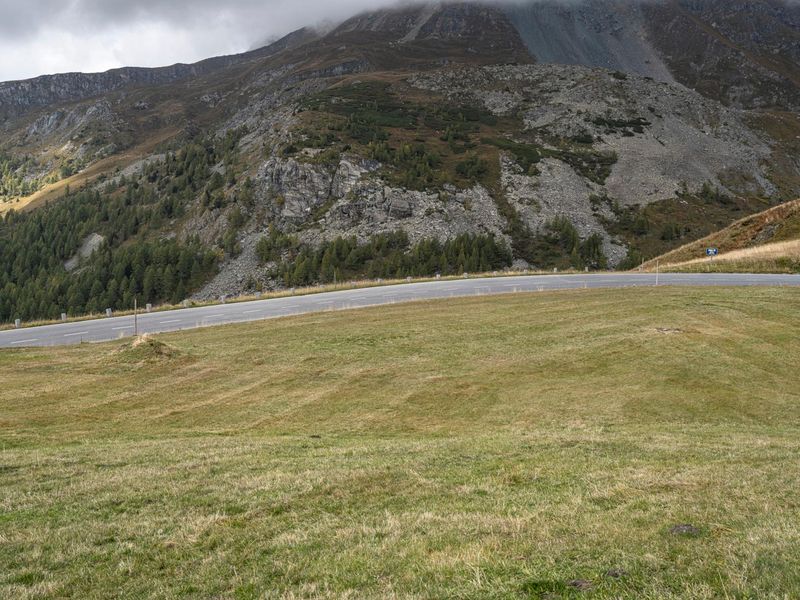 European Rural Road: A Serene Curve in the Landscape HDRi Maps and ...