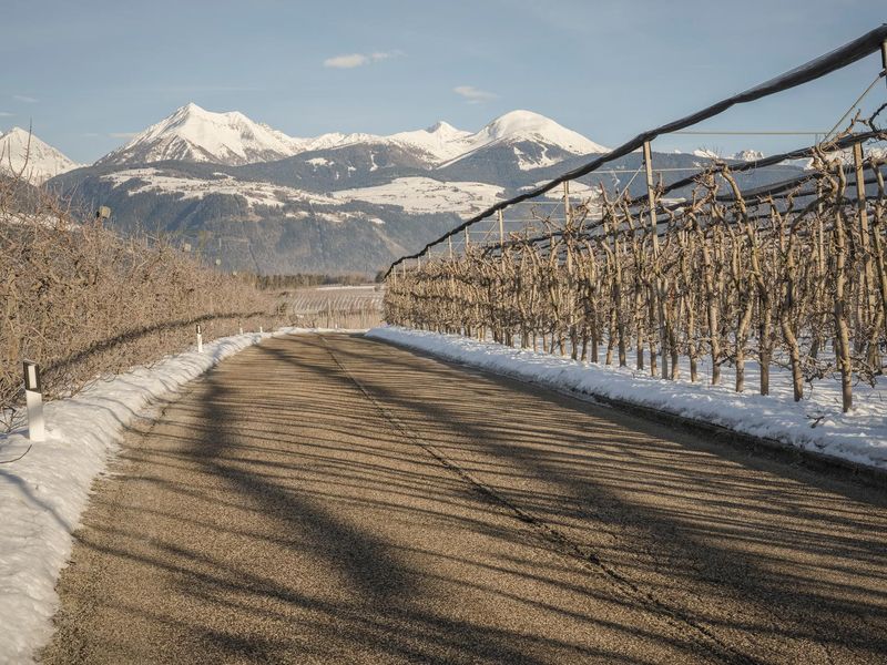 German Mountain Road: Smooth Asphalt and Clear Sky HDRi Maps and Backplates