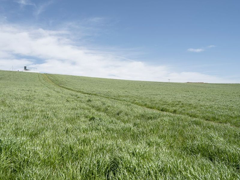 Germany Agriculture Rural Landscape - HDRi Maps and Backplates