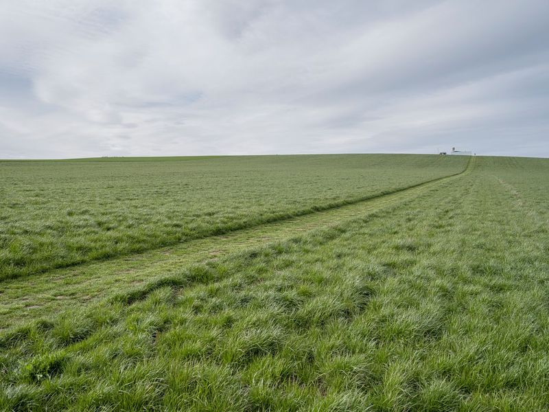 Green Landscape Field in Germany HDRi Maps and Backplates