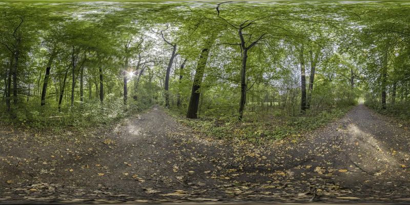 Off-Road Track in Germany: Exploring the Lush Green Woods HDRi Maps and ...