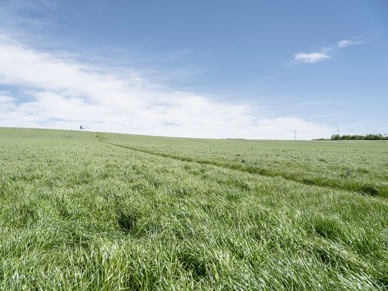 Germany Rural Landscape: Clear Sky and Green Fields - HDRi Maps and ...
