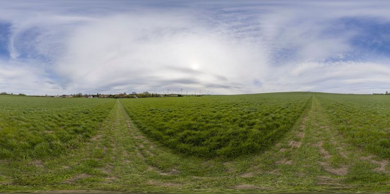Germany's Rural Landscape: A Field of Green Grass HDRi Maps and Backplates