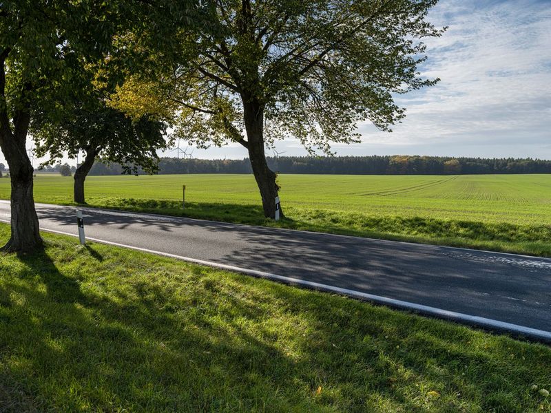 Germany's Autumn Landscape: Rural Berlin HDRi Maps and Backplates