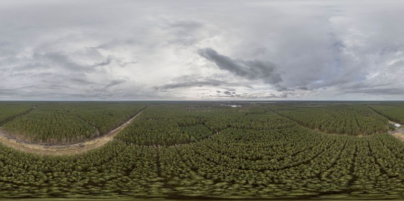 Germany's Sky Dome and Open Space: Amidst the Forest HDRi Maps and ...