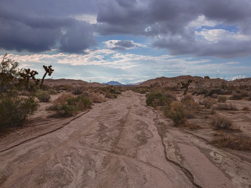 Gloomy Grey Sky: A River Road in California HDRi Maps and Backplates