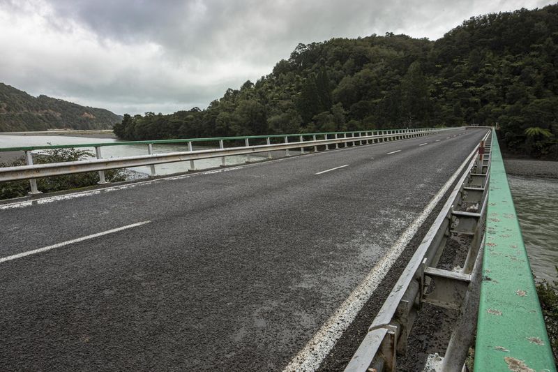 Gloomy Road: Trees and Vegetation under Grey Sky HDRi Maps and Backplates