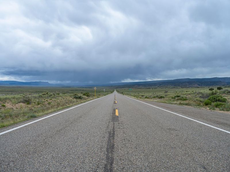 A Gloomy Road in the USA: Grey Skies and Nature HDRi Maps and Backplates