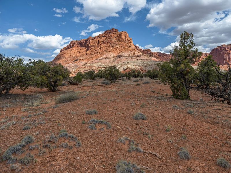 Highway 12 in Utah: A Landscape of Capitol Reef HDRi Maps and Backplates
