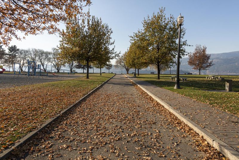 Kelowna, British Columbia Treelined Road HDRi Maps and Backplates