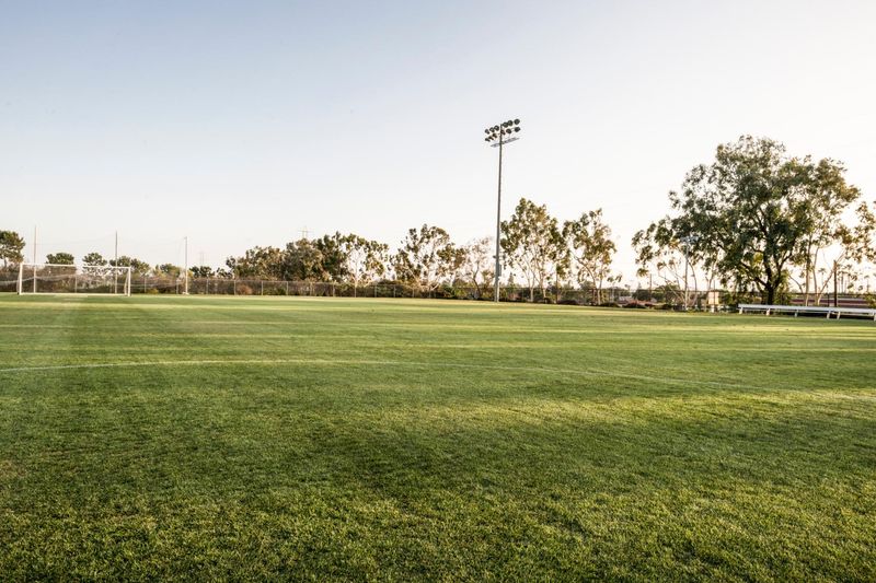 Los Angeles Grassy Soccer Field HDRi Maps and Backplates