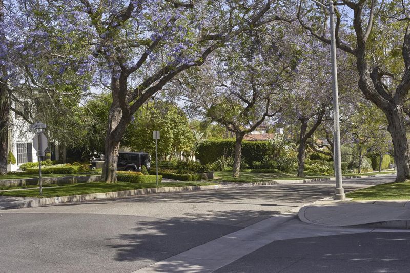 Los Angeles Residential Area on a Clear Day HDRi Maps and Backplates
