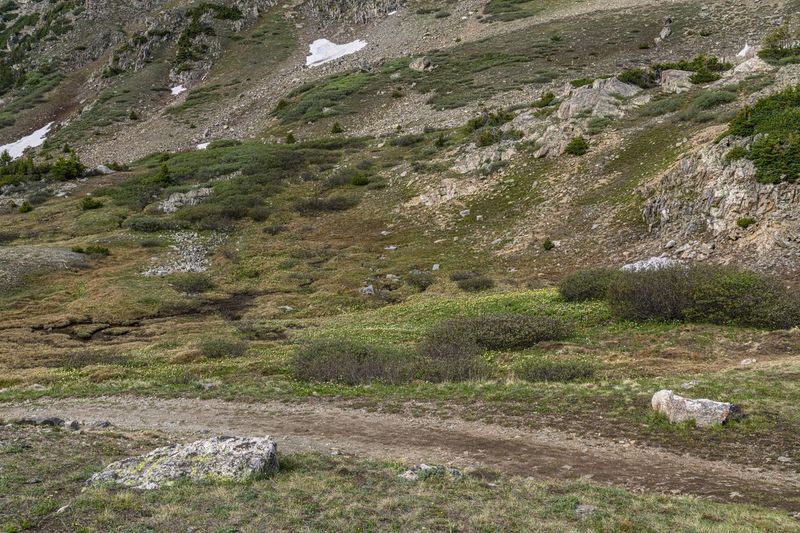 Loveland Pass, Colorado, USA: An Alpine Landscape HDRi Maps and Backplates