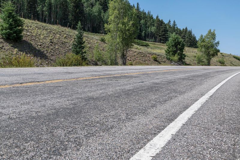 Lush Green Forest in Colorado: A Picture of Nature HDRi Maps and Backplates