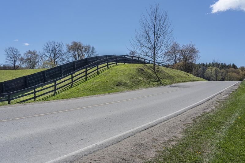 Lush Green Grass and Tree Farm in Ontario HDRi Maps and Backplates