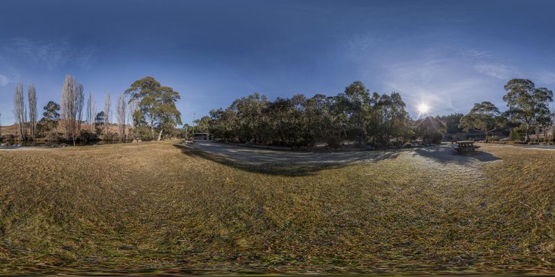 Lush Green Grass and Trees under a Clear Sky HDRi Maps and Backplates