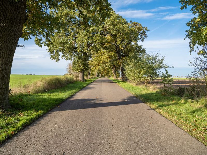 Lush Green Landscape in Berlin, Germany HDRi Maps and Backplates