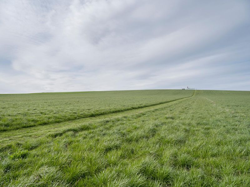 Lush Green Landscape in Berlin, Germany HDRi Maps and Backplates