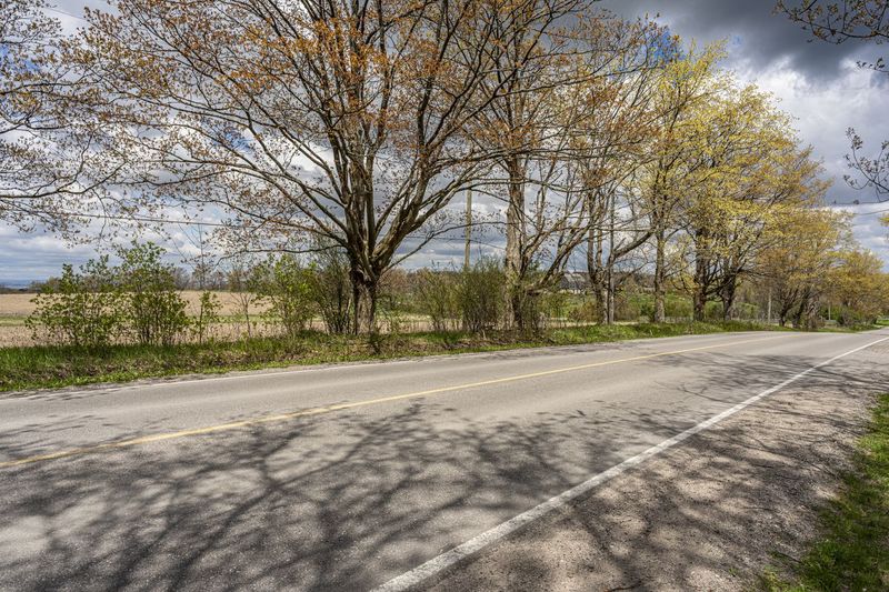 Lush Green Landscape in Canada, Ontario - HDRi Maps and Backplates