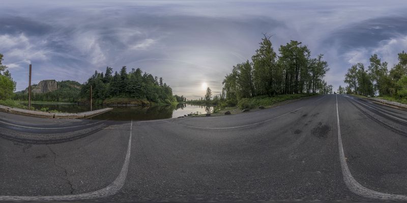 Lush Green Vegetation Surrounding a Picturesque Road HDRi Maps and ...