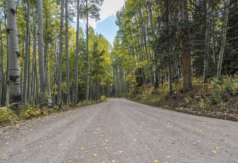 Lush Nature Road through the Forest HDRi Maps and Backplates