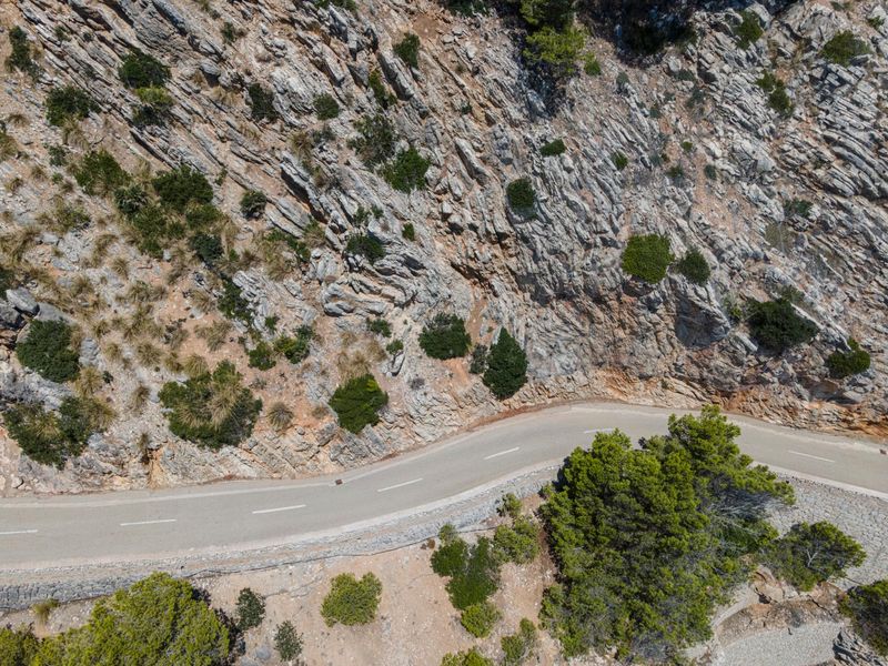 Mallorca Spain Coastal Road with Pine Trees HDRi Maps and Backplates