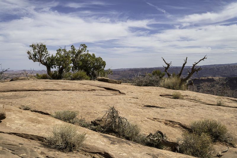 WHERE IS MOAB UTAH visual data 5