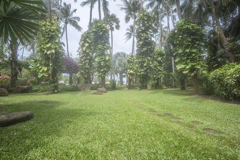 Nature: Open Space and Serene Landscape HDRi Maps and Backplates