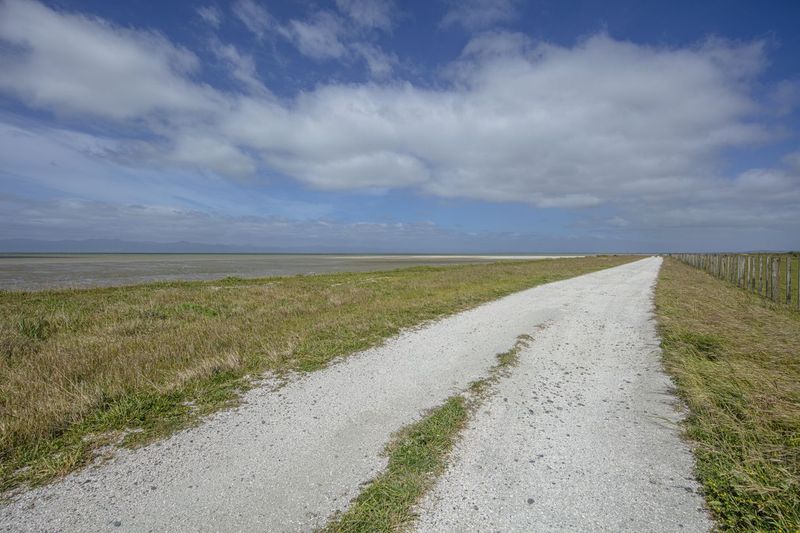Oceanic Plain: Vegetation, Grass, and Dirt Road HDRi Maps and Backplates