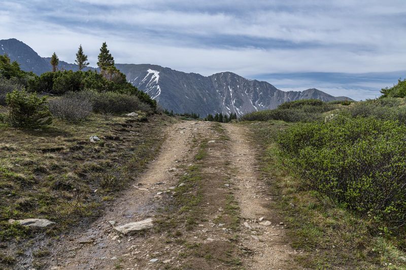 Off-Road Track in Colorado: Exploring the Beautiful Landscape HDRi Maps ...
