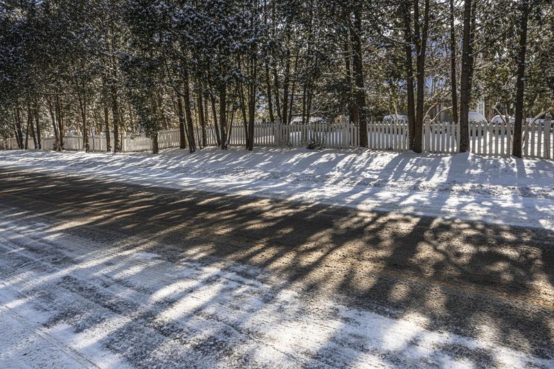 Ontario, Canada Landscape: Asphalt Road through Snowy Forest HDRi Maps ...