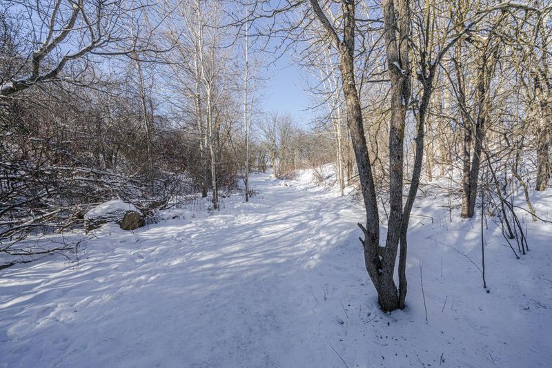 Ontario Canada Landscape: Forest Road during Day HDRi Maps and Backplates