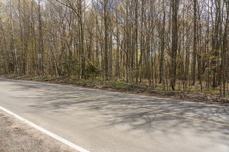 Ontario Canada: Lush Vegetation Road HDRi Maps and Backplates
