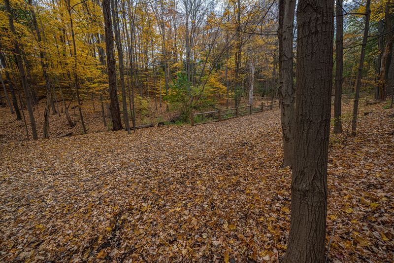 Open Space in Ontario, Canada: Brown Grass and Trees HDRi Maps and ...