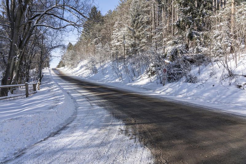 Road Blocked by Snow in Ontario Canada's Forest HDRi Maps and Backplates