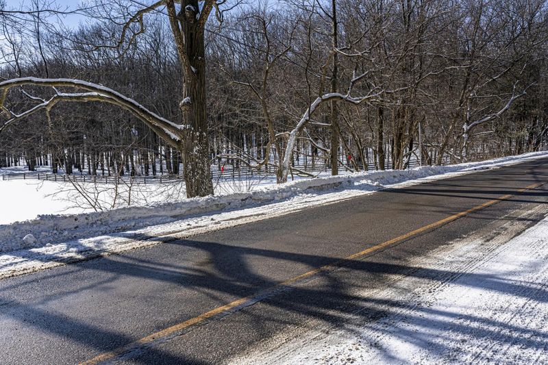 Snowy Road Through Ontario Forest, Canada HDRi Maps and Backplates