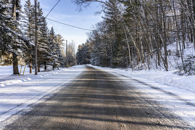 Ontario Forest Road: A Day in Nature HDRi Maps and Backplates