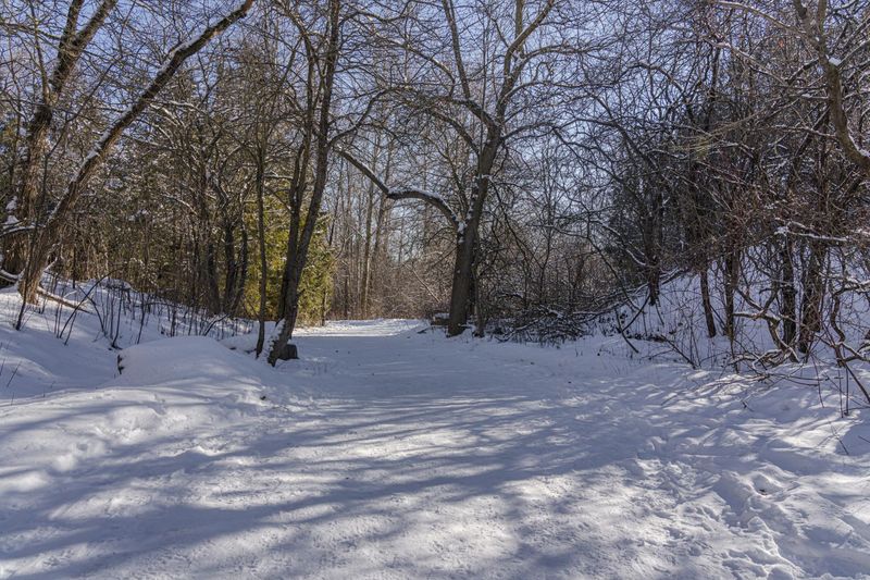 Ontario Forest Road Trip: Exploring Canada's Wilderness HDRi Maps and ...