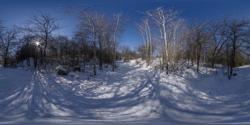 Ontario Forest Road: Winter Sunlight and Shadows HDRi Maps and Backplates