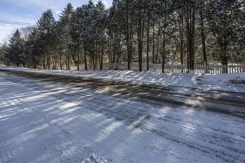 Ontario Road through Forest During the Day HDRi Maps and Backplates