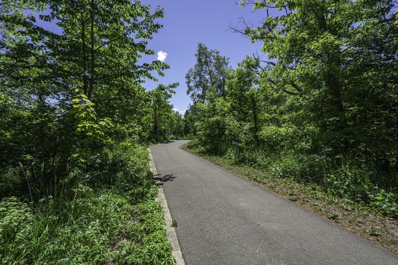 Scenic Road in Ontario, Canada HDRi Maps and Backplates