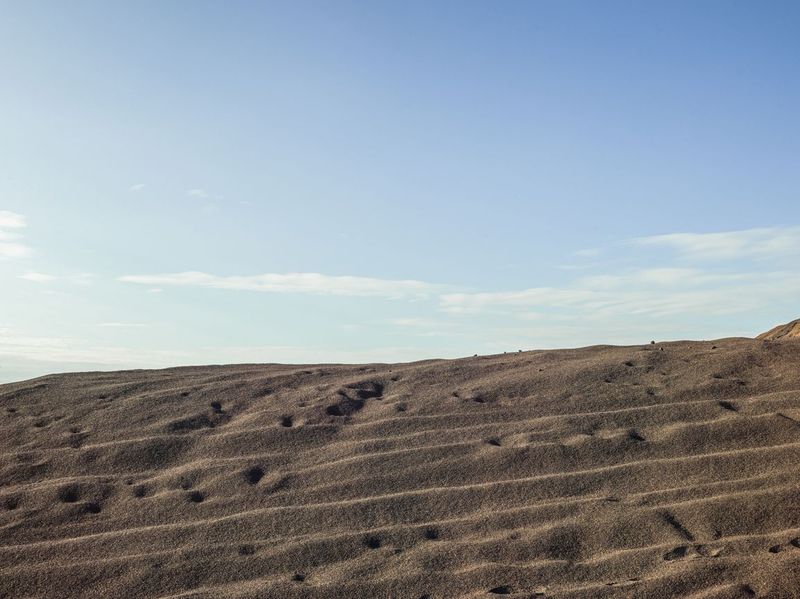 Open Space with Clear Sky: A Landscape with Trees HDRi Maps and Backplates