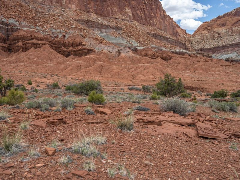 USA's Open Space: Capitol Reef Landscape HDRi Maps and Backplates