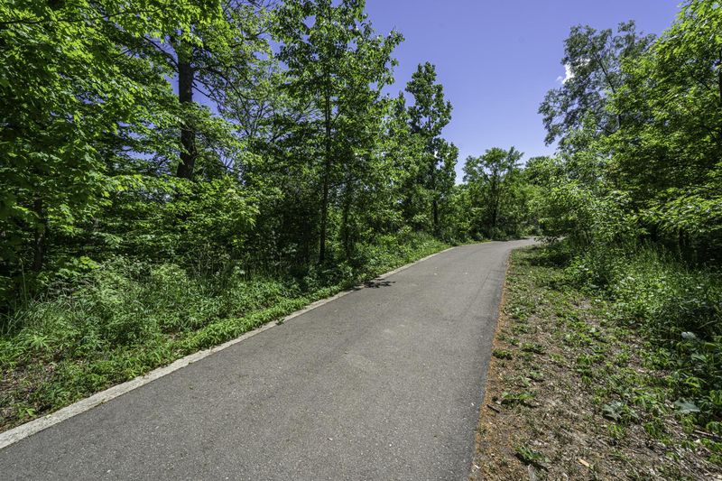 Paved Asphalt Road in Lush Ontario Forest HDRi Maps and Backplates
