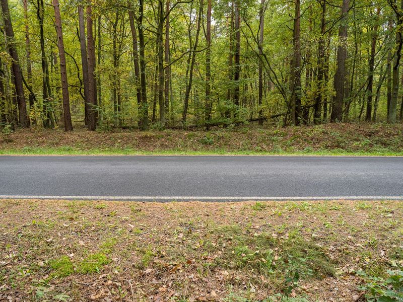 Road in the Woods Berlin, Germany HDRi Maps and Backplates