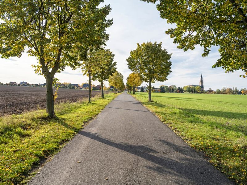 Road Landscape in Germany under a Clear Sky HDRi Maps and Backplates